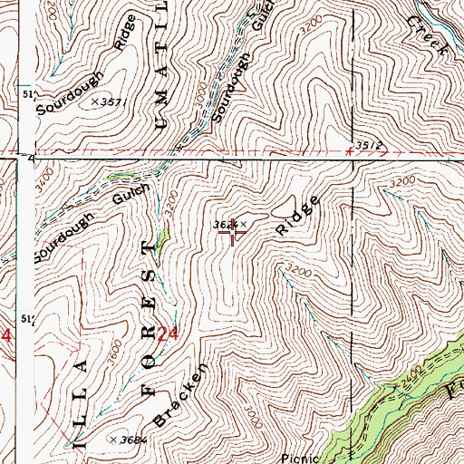 Topographic Map of Bracken Ridge, WA
