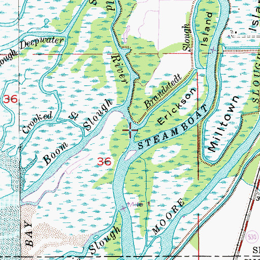 Topographic Map of Brandstedt Slough, WA