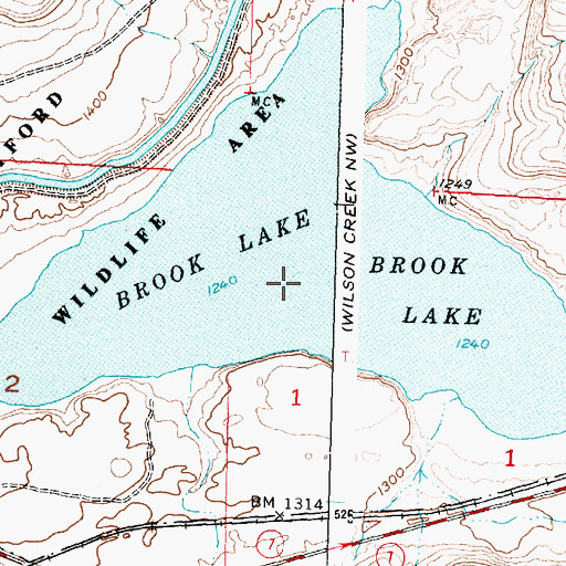 Topographic Map of Brook Lake, WA