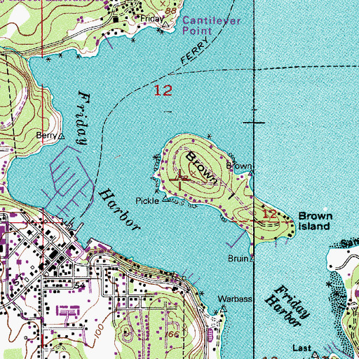 Topographic Map of Brown Island, WA
