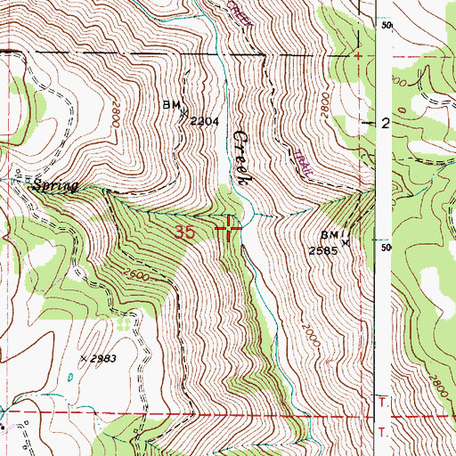 Topographic Map of Brushy Creek, WA