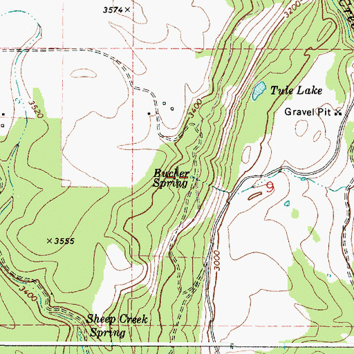 Topographic Map of Bucher Spring, WA