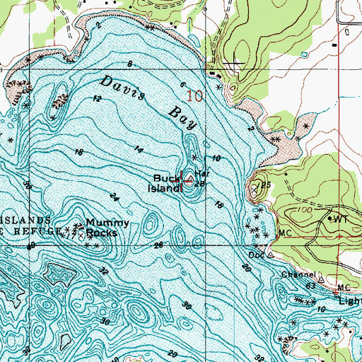 Topographic Map of Buck Island, WA