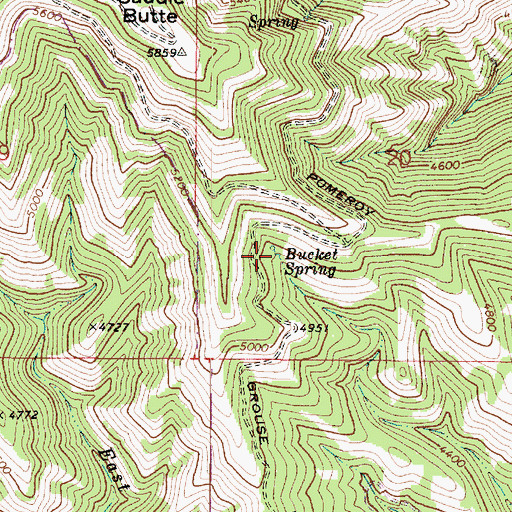 Topographic Map of Bucket Spring, WA