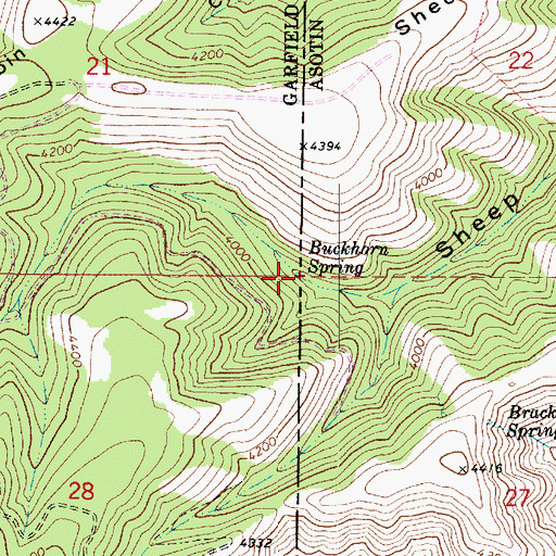 Topographic Map of Buckhorn Spring, WA