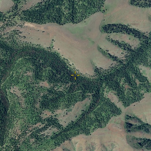 Aerial/Satellite Image of Buckhorn Spring, WA