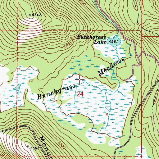 Topographic Map of Bunchgrass Meadow, WA