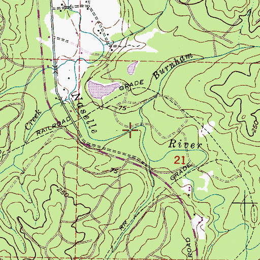 Topographic Map of Burnham Creek, WA