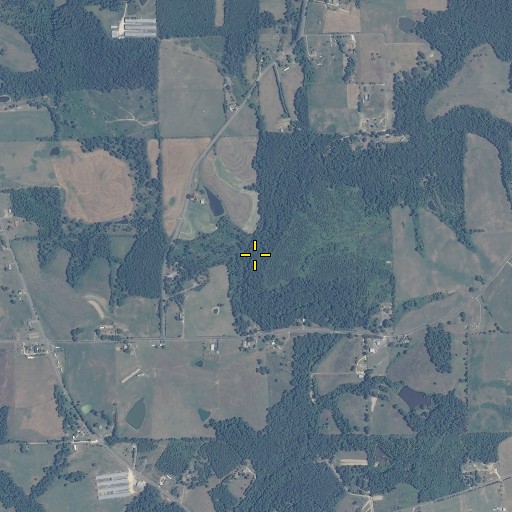 Aerial/Satellite Image of Mahan Branch, AL