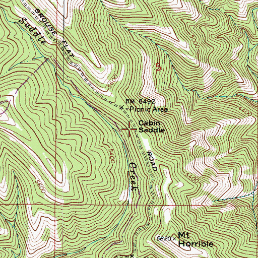 Topographic Map of Cabin Saddle, WA