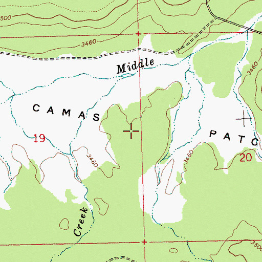 Topographic Map of Camas Patch, WA