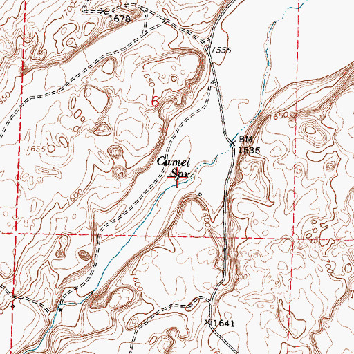 Topographic Map of Camel Spring, WA