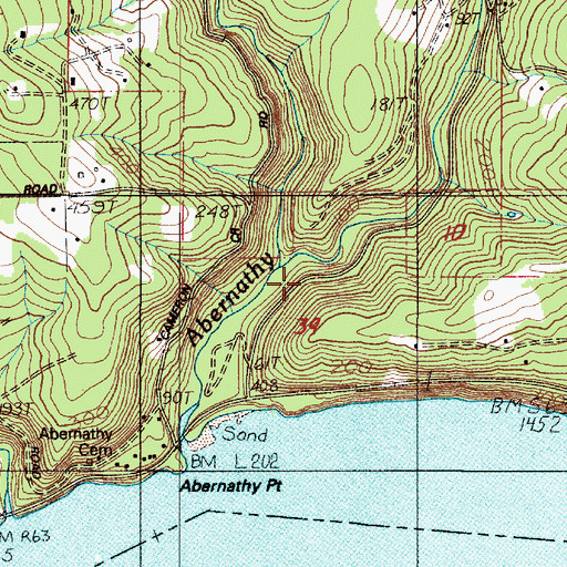 Topographic Map of Cameron Creek, WA