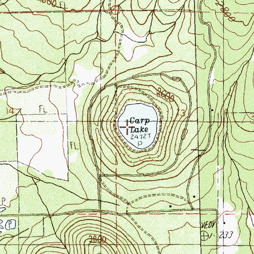 Topographic Map of Carp Lake, WA