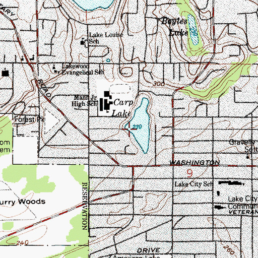 Topographic Map of Carp Lake, WA