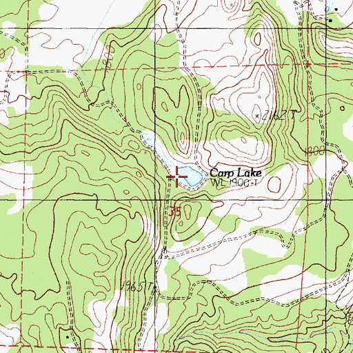Topographic Map of Carp Lake, WA