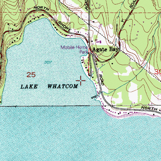 Topographic Map of Carpenter Creek, WA