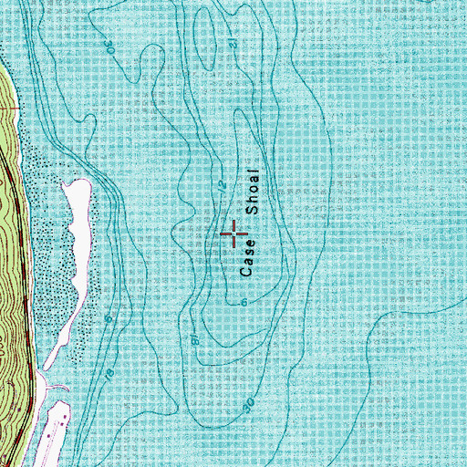 Topographic Map of Case Shoal, WA