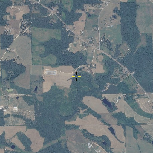 Aerial/Satellite Image of Mooney Branch, AL