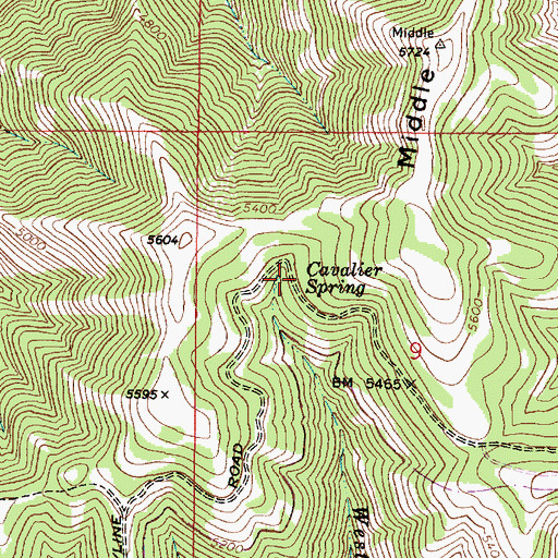Topographic Map of Cavalier Spring, WA