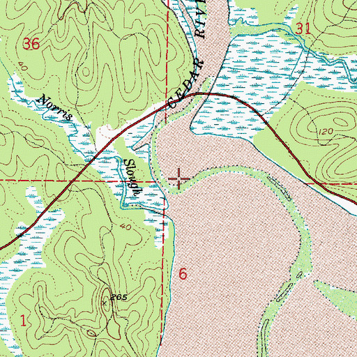 Topographic Map of Cedar River, WA