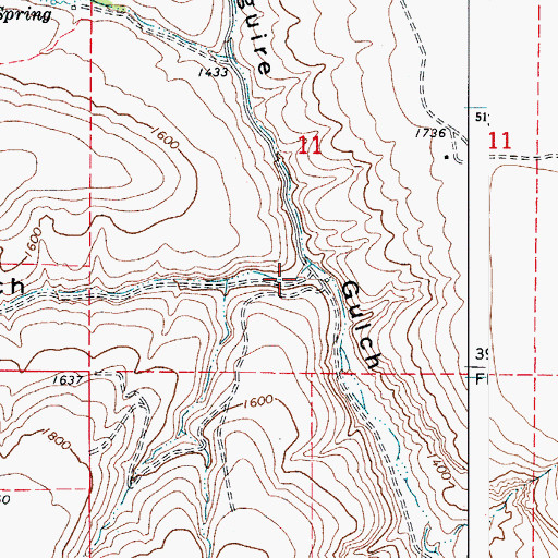 Topographic Map of Chambers Gulch, WA