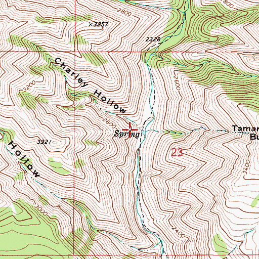 Topographic Map of Charley Hollow, WA
