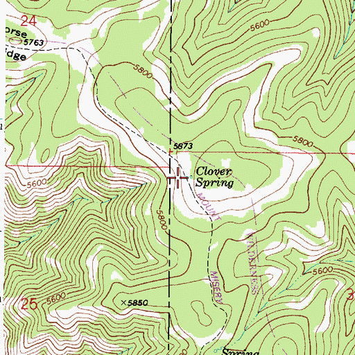 Topographic Map of Clover Spring, WA