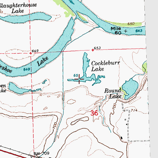 Topographic Map of Cockleburr Lake, WA