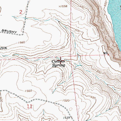 Topographic Map of Collins Spring, WA