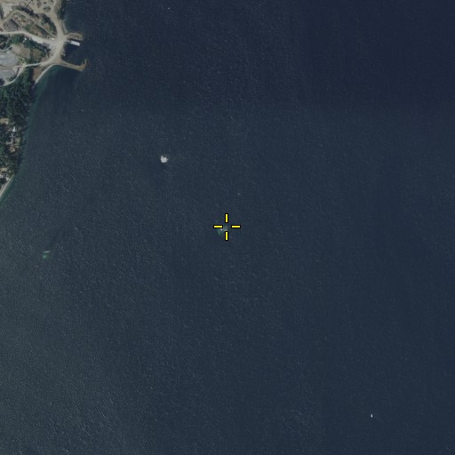 Aerial/Satellite Image of Colvos Rocks, WA