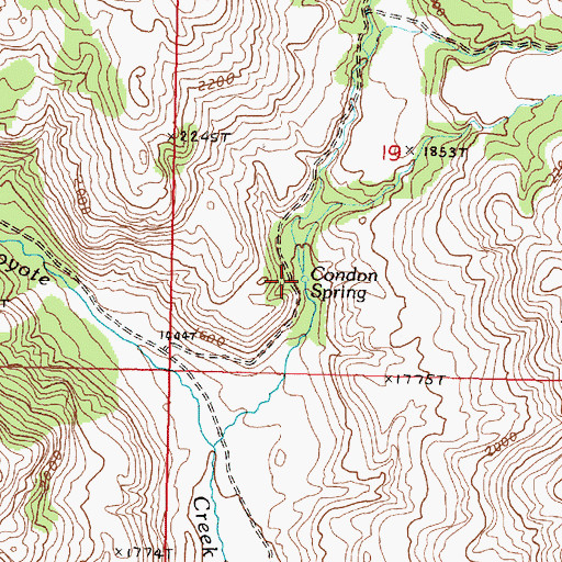 Topographic Map of Condon Spring, WA