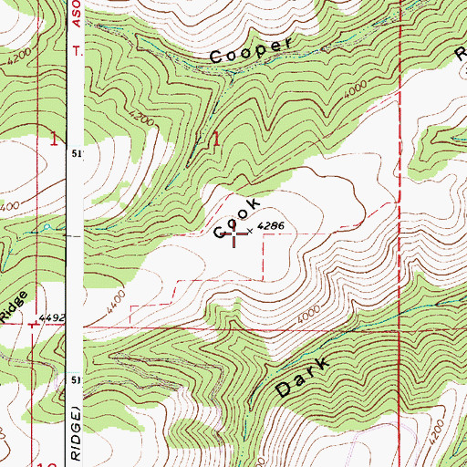 Topographic Map of Cook Ridge, WA