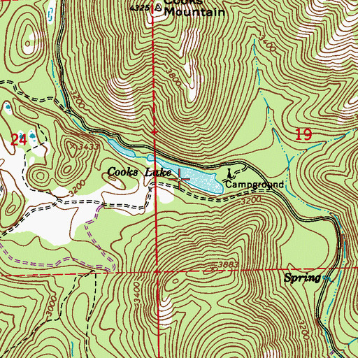 Topographic Map of Cooks Lake, WA