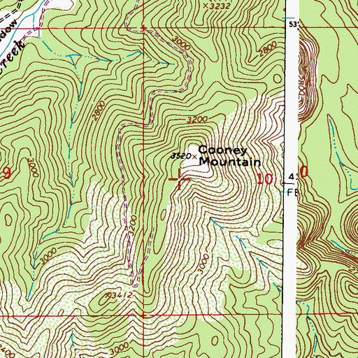 Topographic Map of Cooney Mountain, WA