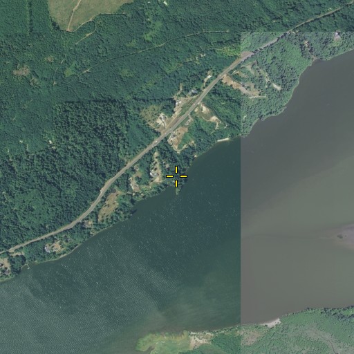 Aerial/Satellite Image of Cooper Point, WA