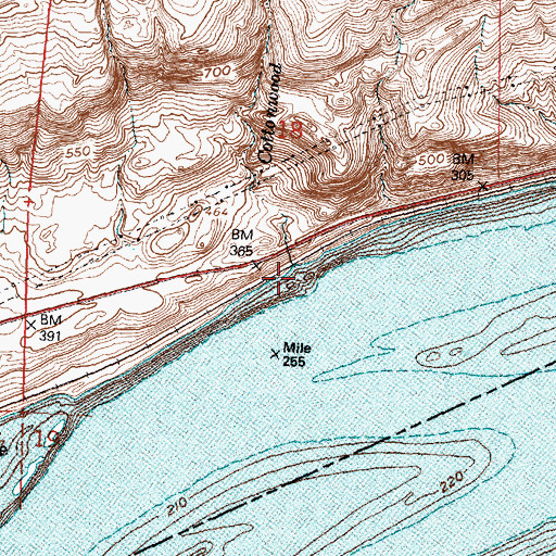 Topographic Map of Cottonwood Creek, WA