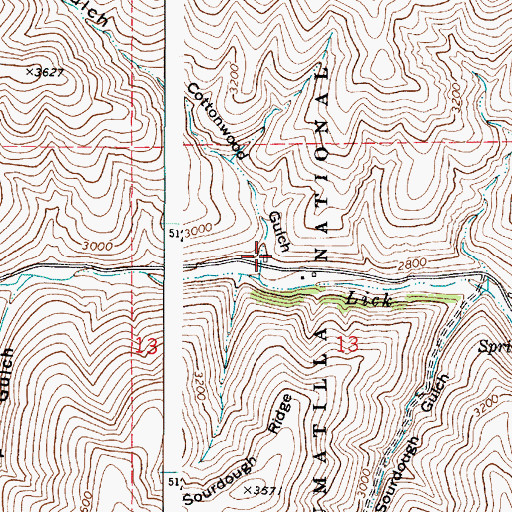 Topographic Map of Cottonwood Gulch, WA