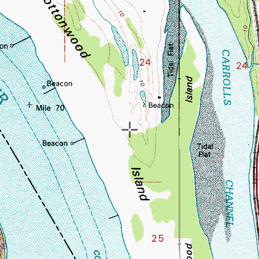 Topographic Map of Cottonwood Island, WA
