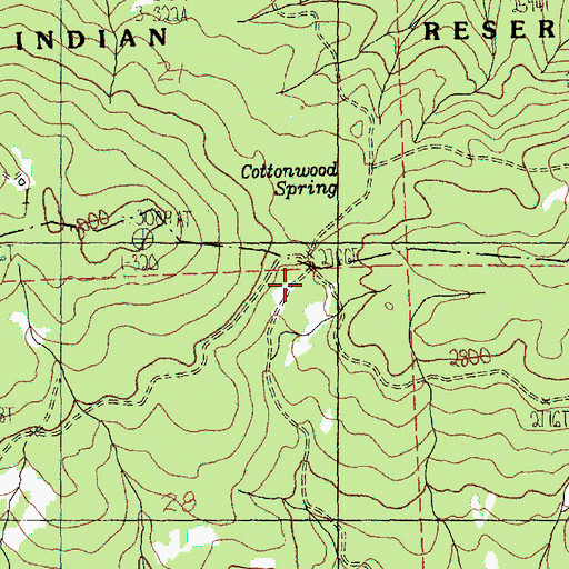 Topographic Map of Cottonwood Spring, WA