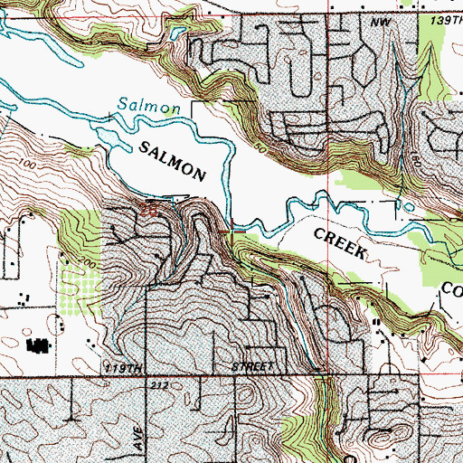 Topographic Map of Cougar Canyon, WA