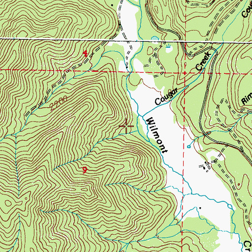 Topographic Map of Cougar Creek, WA