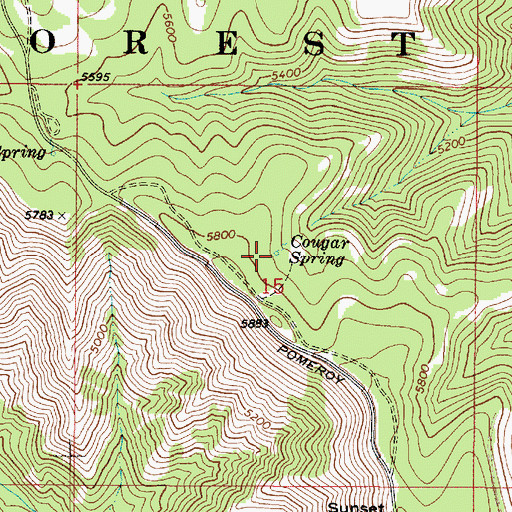 Topographic Map of Cougar Spring, WA