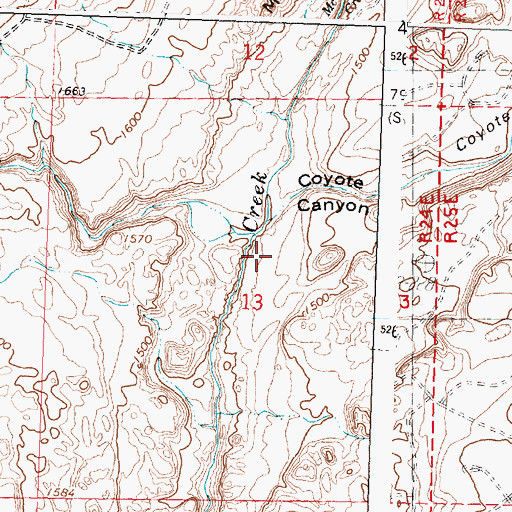 Topographic Map of Coyote Canyon, WA