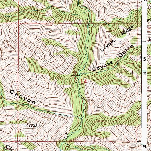 Topographic Map of Coyote Gulch, WA