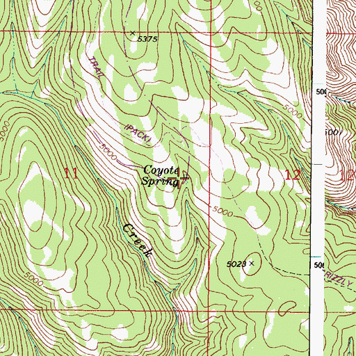 Topographic Map of Coyote Spring, WA