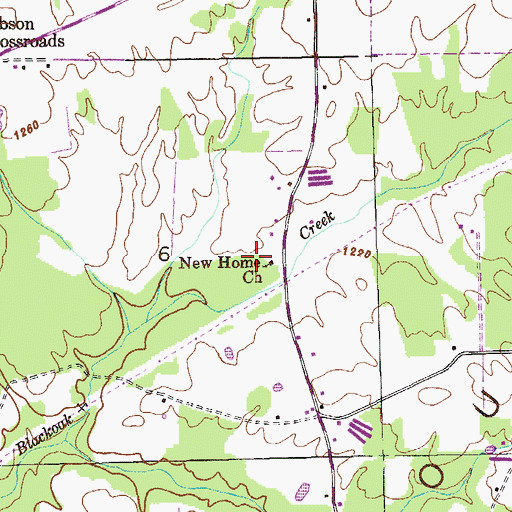 Topographic Map of New Home Church, AL