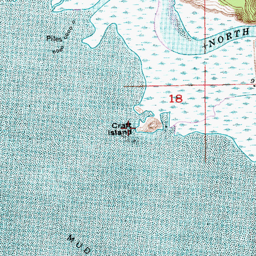 Topographic Map of Craft Island, WA