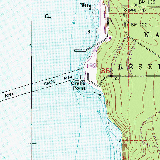 Topographic Map of Crane Point, WA