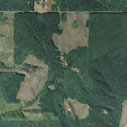 Aerial/Satellite Image of Crego Hill, WA